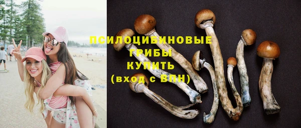 соль ск Аркадак
