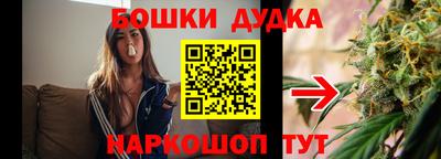 гидра Бийск