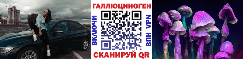 Галлюциногенные грибы прущие грибы Городец