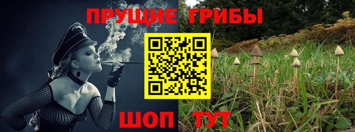 Псилоцибиновые грибы GOLDEN TEACHER  Вход с VPN  Городец 