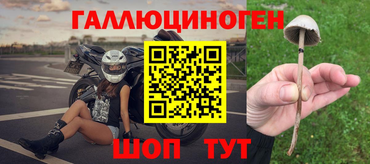 Псилоцибиновые грибы мицелий  Городец 